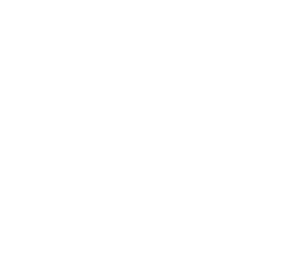 Tommis Hundephysiotherapie